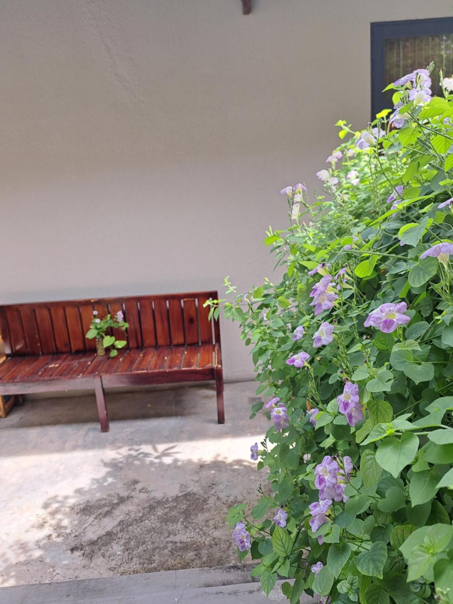 Golden Lotus Spa & Homestay Ap Thien Phuoc Buitenkant foto