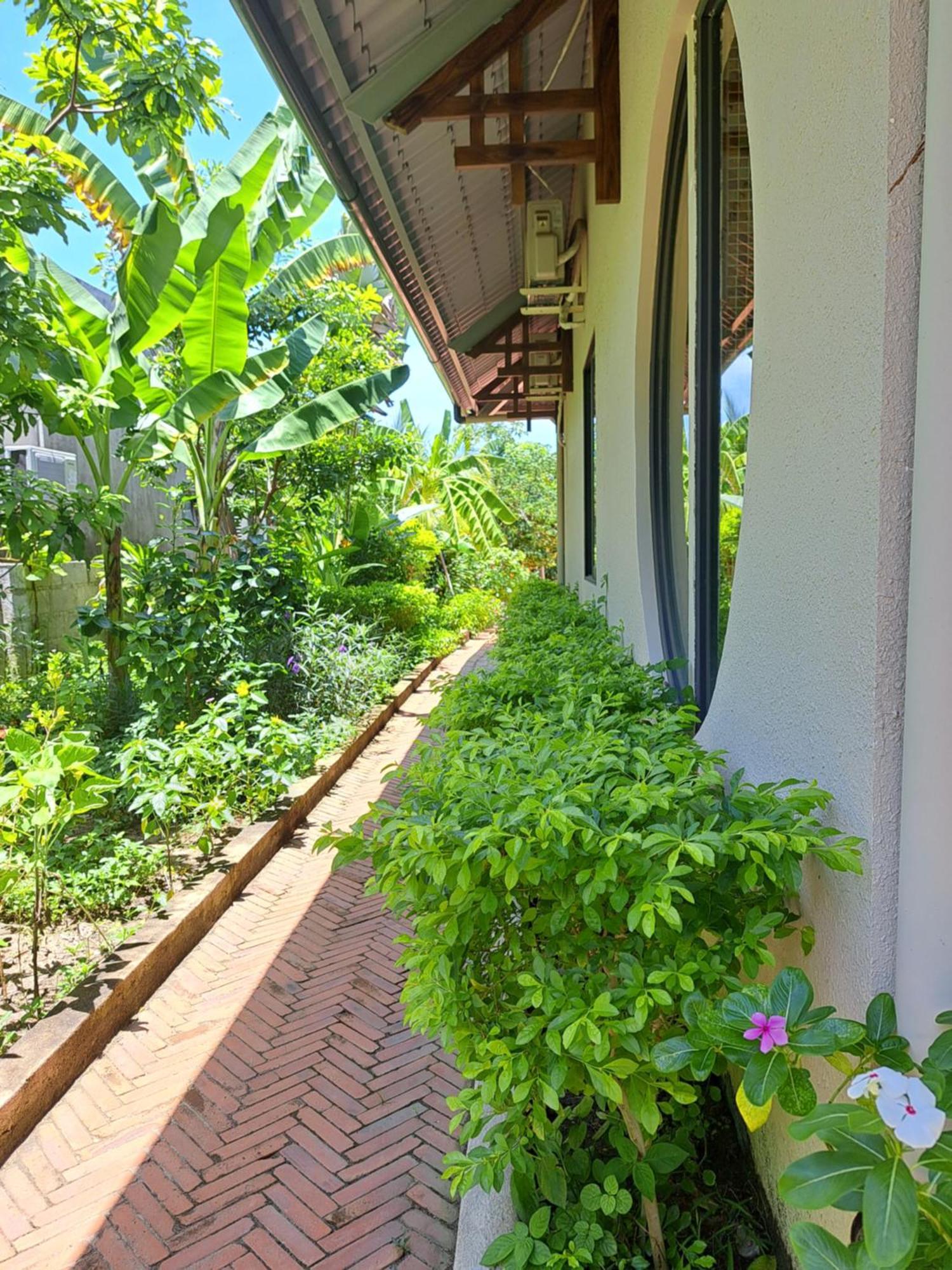 Golden Lotus Spa & Homestay Ap Thien Phuoc Buitenkant foto