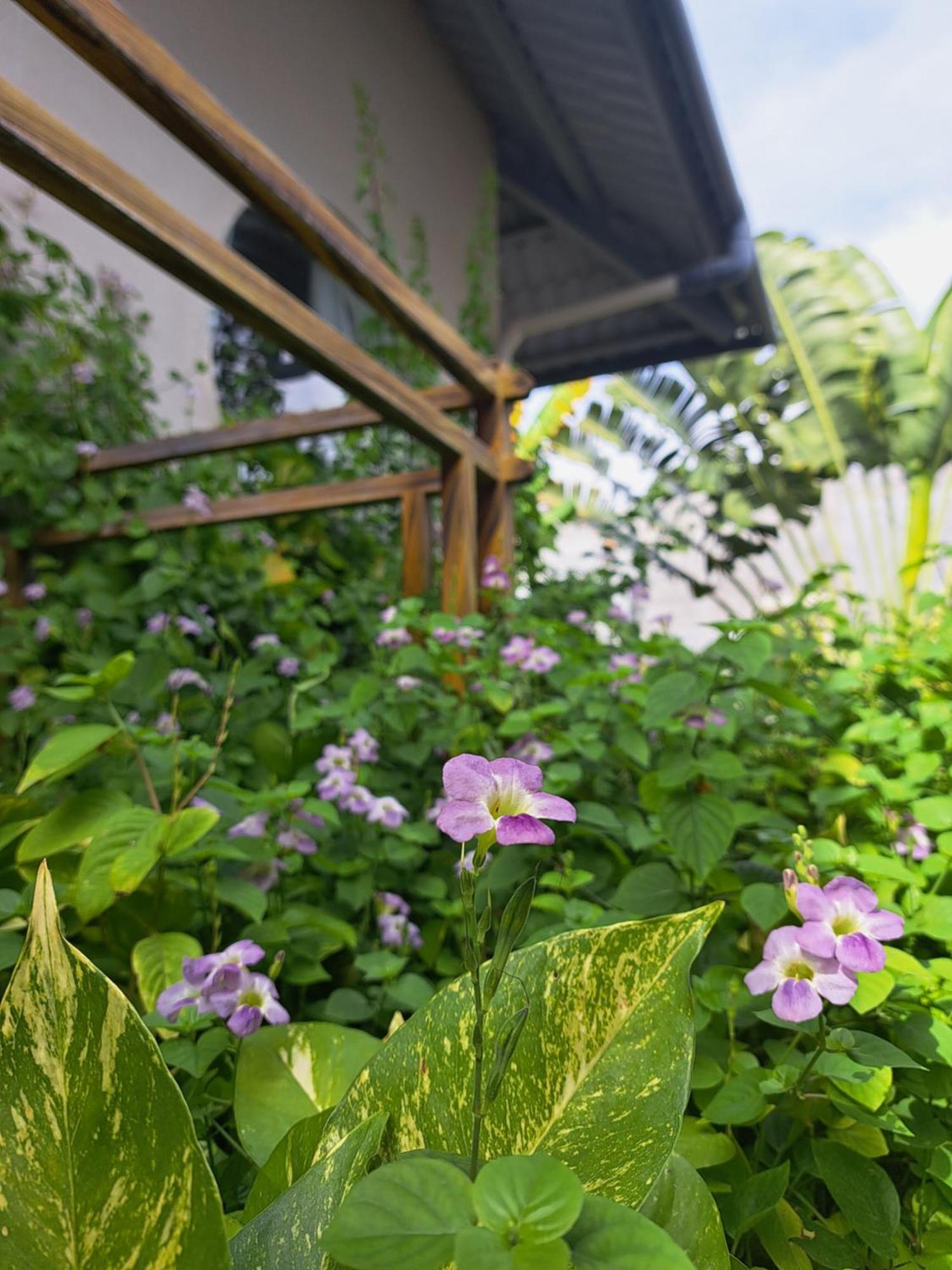 Golden Lotus Spa & Homestay Ap Thien Phuoc Buitenkant foto