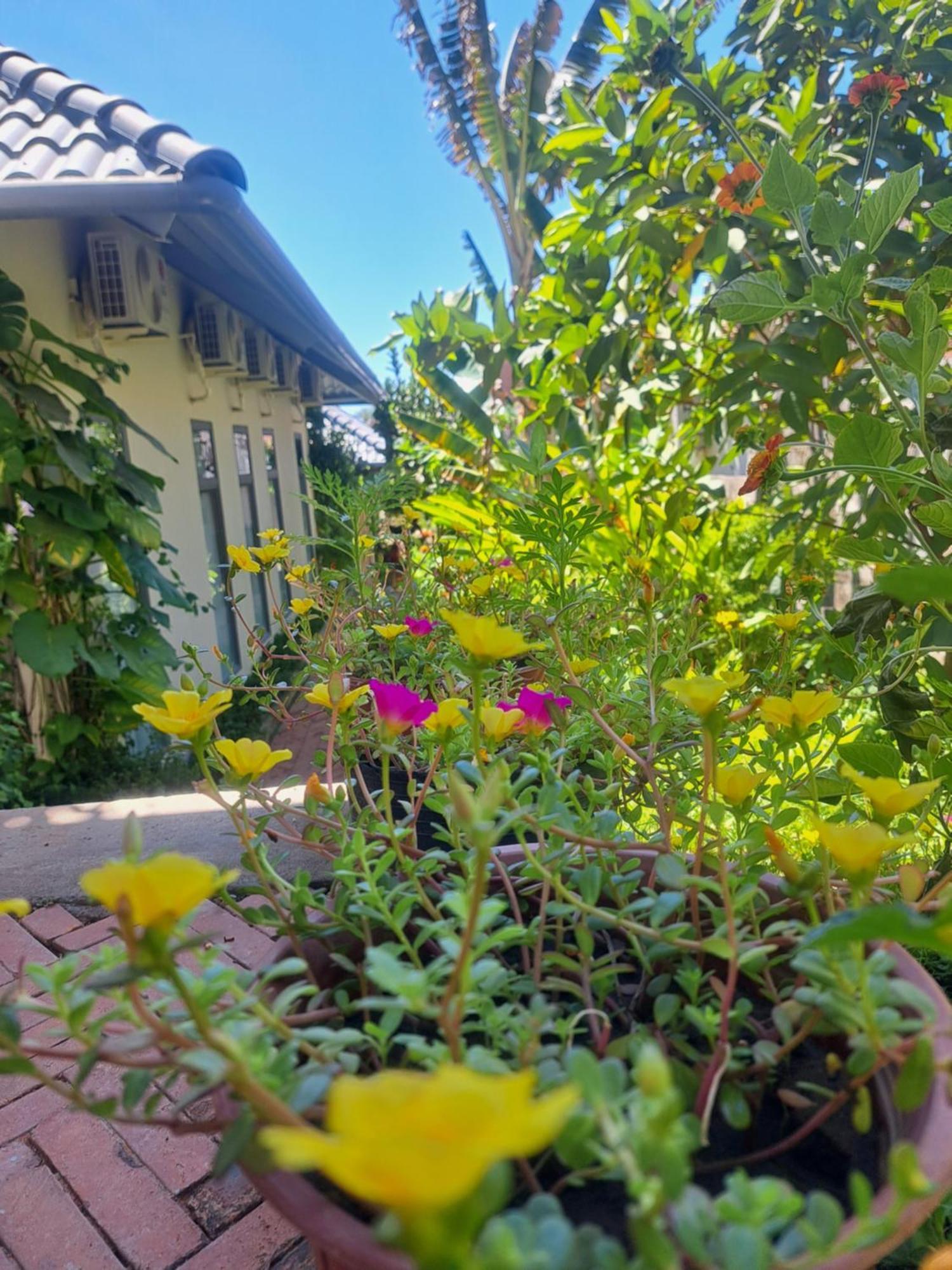 Golden Lotus Spa & Homestay Ap Thien Phuoc Buitenkant foto